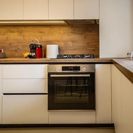 Urban Plaza Mountain View Alpine Escape Apartment Brasov