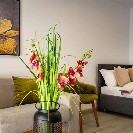 Urban Plaza Mountain View Alpine Escape Studio Apartment