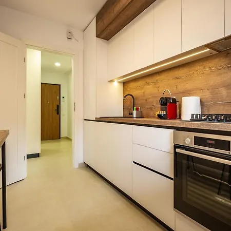 Urban Plaza Mountain View Alpine Escape Studio Apartment Brașov