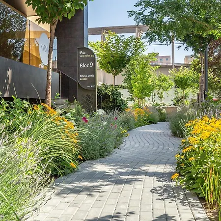 Urban Plaza Mountain View Alpine Escape *