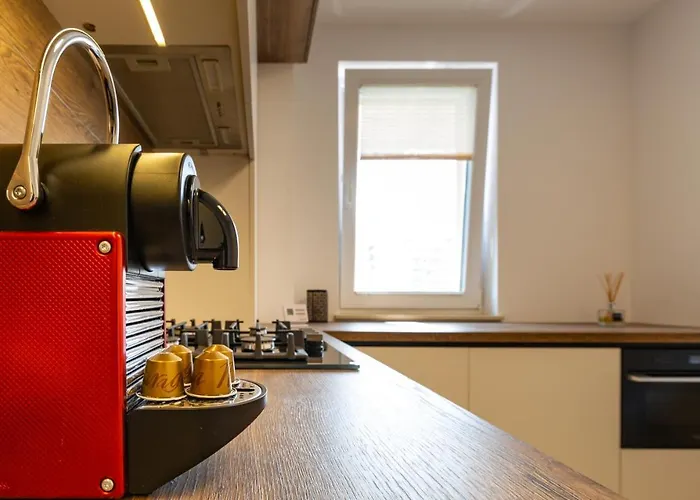 Urban Plaza Mountain View Alpine Escape Studio * Brașov