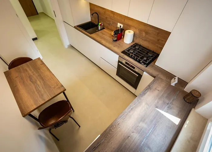 Apartment Urban Plaza Mountain View Alpine Escape Studio Brașov