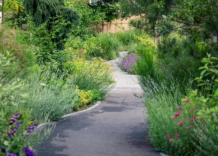 Apartment Urban Plaza Mountain View Alpine Escape Studio *